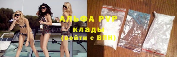 дживик Богородск