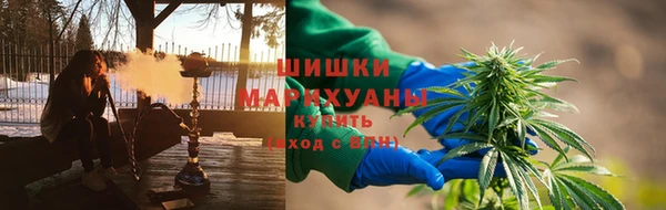 дживик Богородск