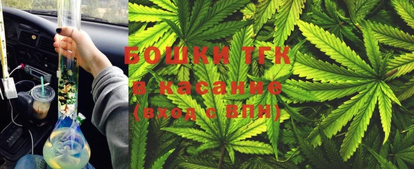 дживик Богородск
