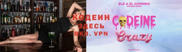 дживик Богородск