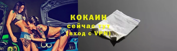 дживик Богородск