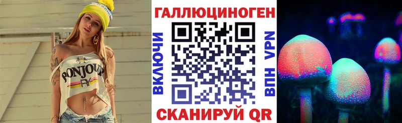 Купить где  Райчихинск  Псилоцибиновые грибы GOLDEN TEACHER 
